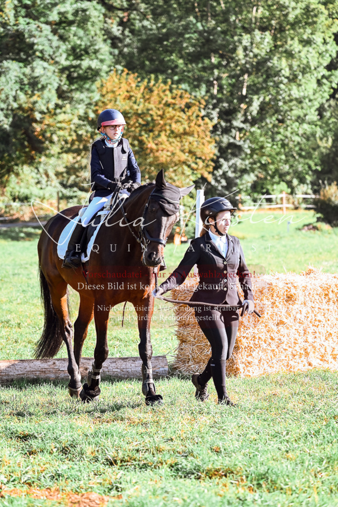 DSC_0237 | Pferde- und Turnierfotografie in Westsachsen. Pferdeportraits, Auftragszeichnungen und intuitive Kunst.