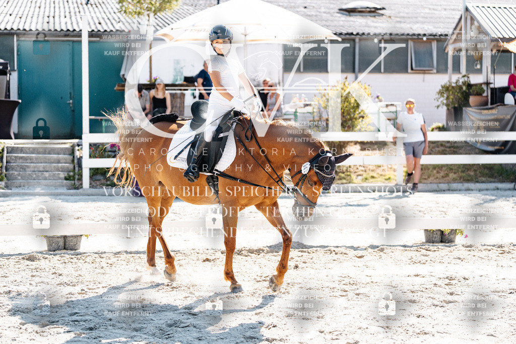 CK903266 | Turnierfotografie Pferdefotografie Trier Rheinland-Pfalz Pferdesport Reitsport Tierfotografie Sportfotografie Pferdevideo Pferdevideografie Equestrianvideography equestrianphotography  - Realisiert mit Pictrs.com