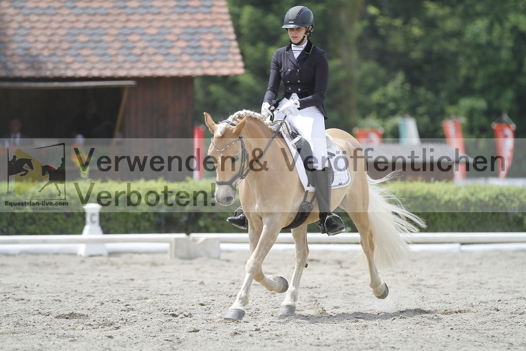 _MG_9546 | equestrian-live-com