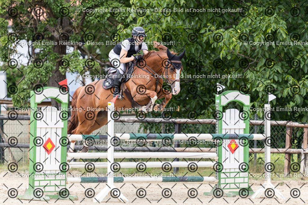 CL5A8379 | Emilia Reinking Fotografie - Realisiert mit Pictrs.com