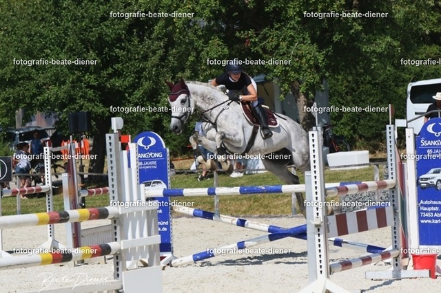 Zeit L (31) | Fotografie, Tiere, Hunde, Katzen, Pferde, Sportfotografie, Fotosession, Tierfotografie, Turnierfotografie, Fotografin, Fotograf - Realisiert mit Pictrs.com