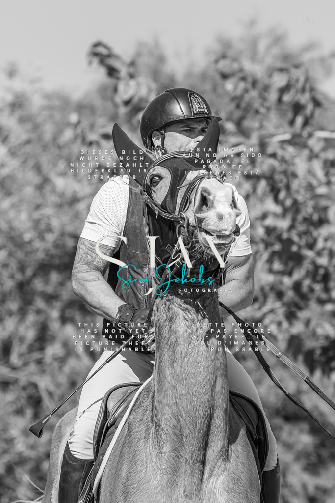 IMG_0871 | s-jay-photography - Realized with Pictrs.com