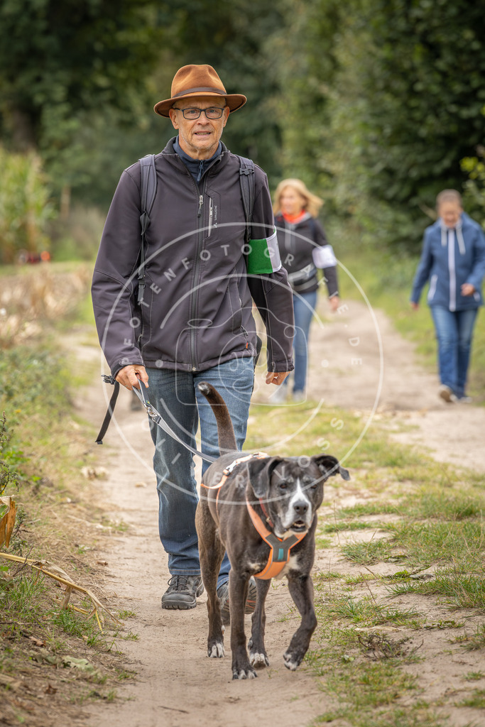 Pfotenfotografie_DV3A6294 | Hundefotografie, Tierfotograf, Pfotenfotografie, Fotoshooting Hund, Hunde Portrait, Hundesport, Hundeportraits, Heideshooting, Hunde, Sportfotograf, Hundefotograf, Turnierhundsport, THS,  - Realisiert mit Pictrs.com