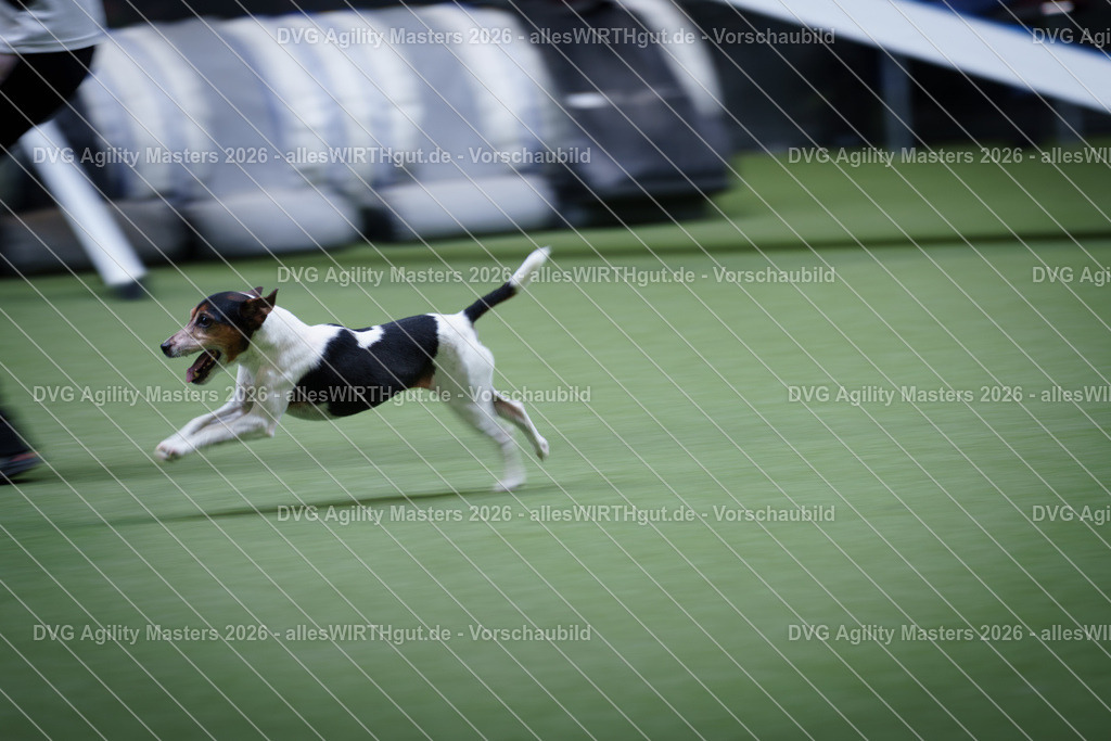 allesWIRTHgut_Tierfotografie-DVG_Agility_Masters_2026-13_51-7R504125 | Professionelle Tierfotografie in Mönchengladbach von Daniel Wirth (allesWIRTHgut). Liebevolle & natürliche Bilder von Hunden & Katzen für unvergessliche Erinnerungen.