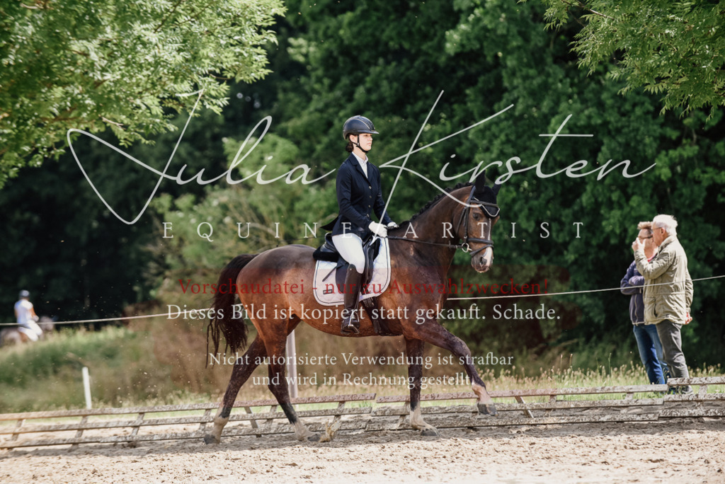 DSC_0863 | Pferde- und Turnierfotografie in Westsachsen. Pferdeportraits, Auftragszeichnungen und intuitive Kunst.