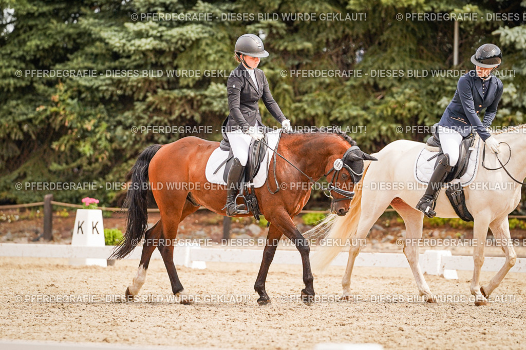 DSC02040 | Pferdegrafie