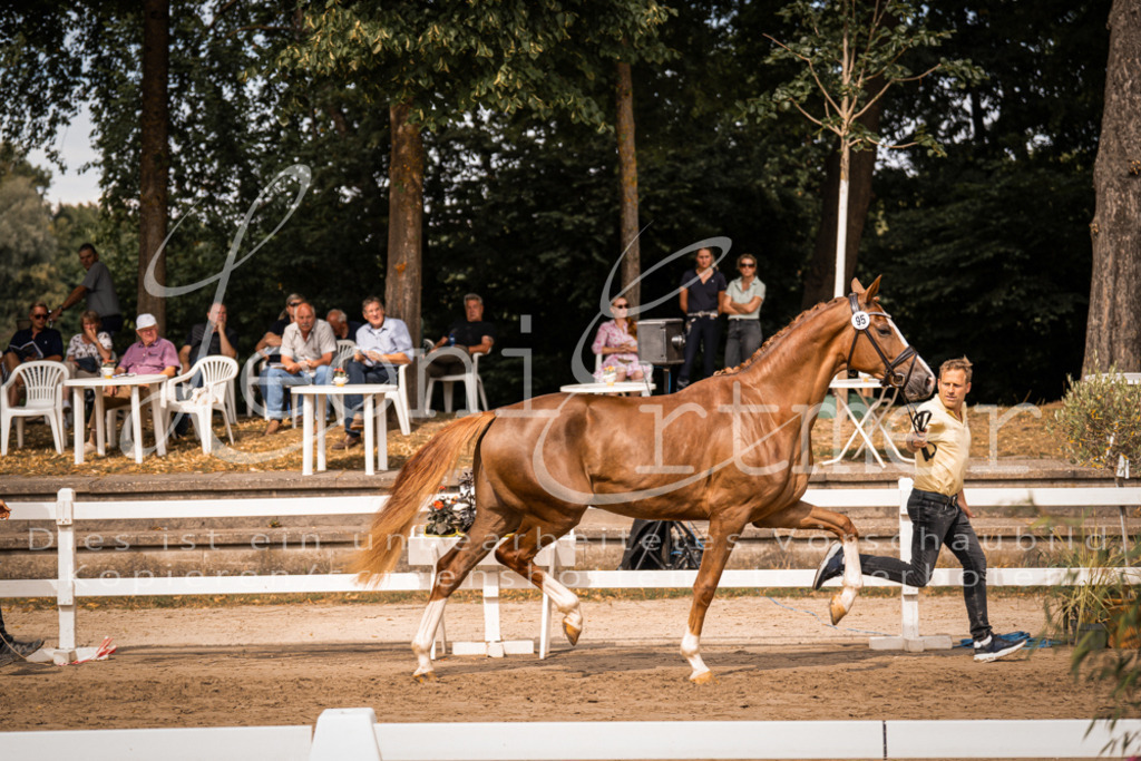 7.Fr00008 | Leoni Ertmer Photography - Realisiert mit Pictrs.com