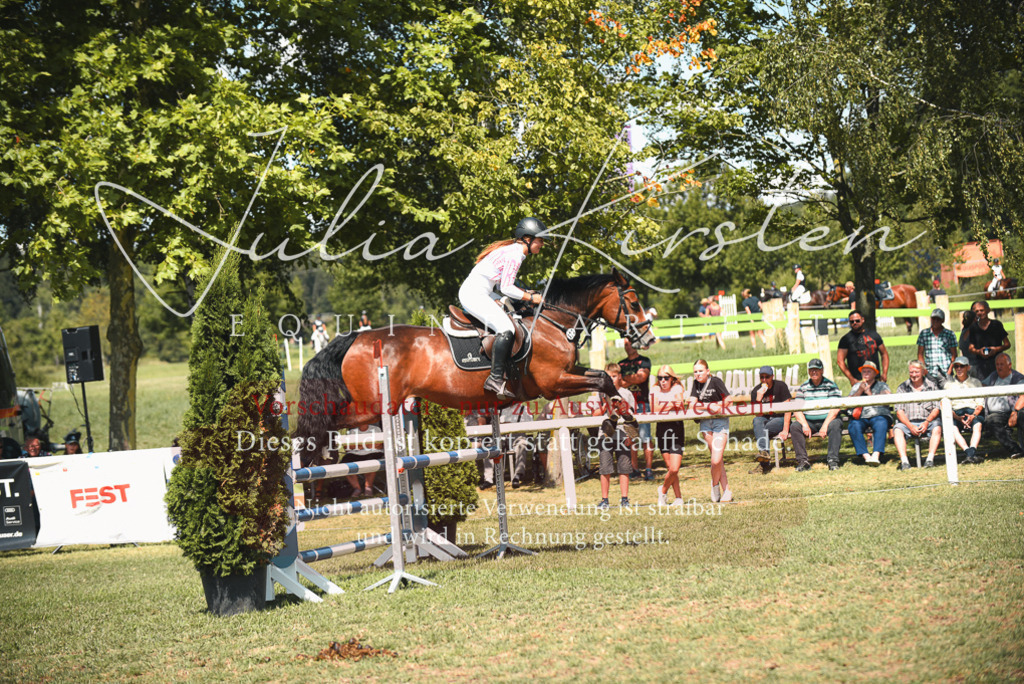 DSC_6568 | Pferde- und Turnierfotografie in Westsachsen. Pferdeportraits, Auftragszeichnungen und intuitive Kunst.