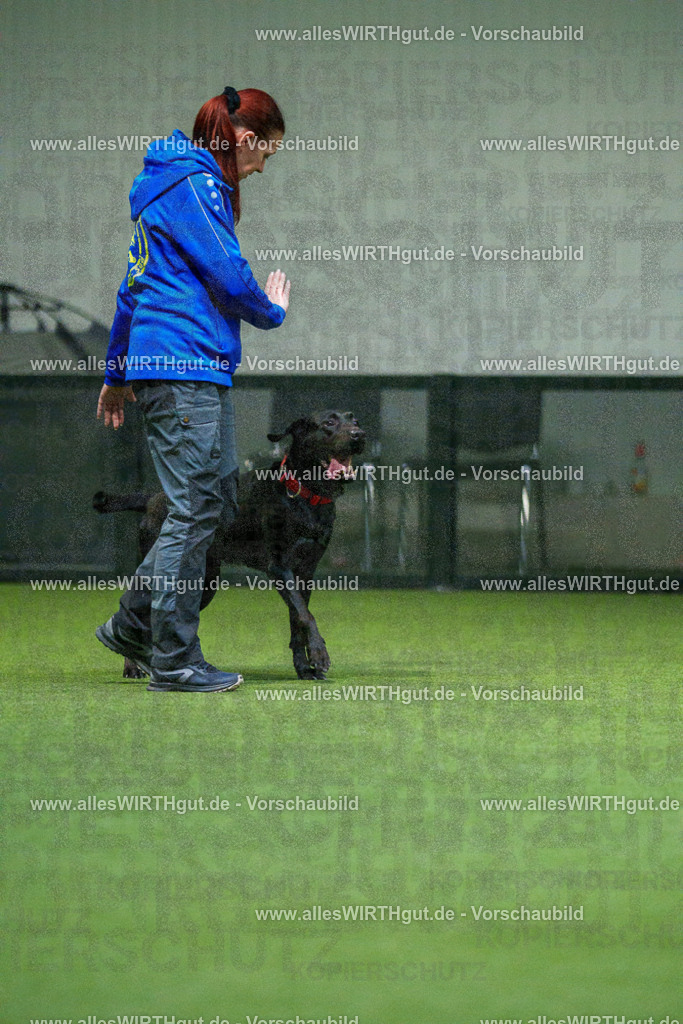 7R504186 | Professionelle Tierfotografie in Mönchengladbach von Daniel Wirth (allesWIRTHgut). Liebevolle & natürliche Bilder von Hunden & Katzen für unvergessliche Erinnerungen.