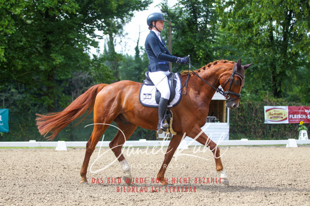 DKP41901 | Turniersportfotografie; Pferdefotografie; Dressurfotografie