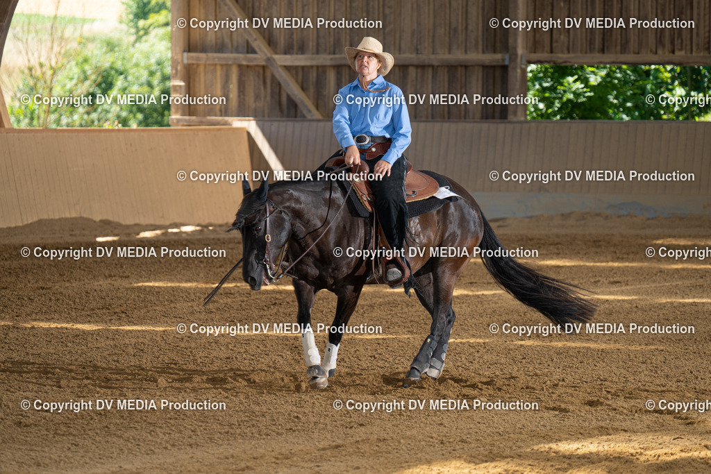 DSC00021-2 | dv-media-shop - Realisiert mit Pictrs.com