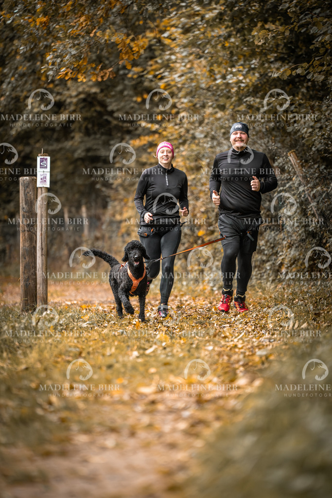 madeleinebirr-fotografie2025.campcanis.sa.8-9Uhr-19 | hundefotografie-birr