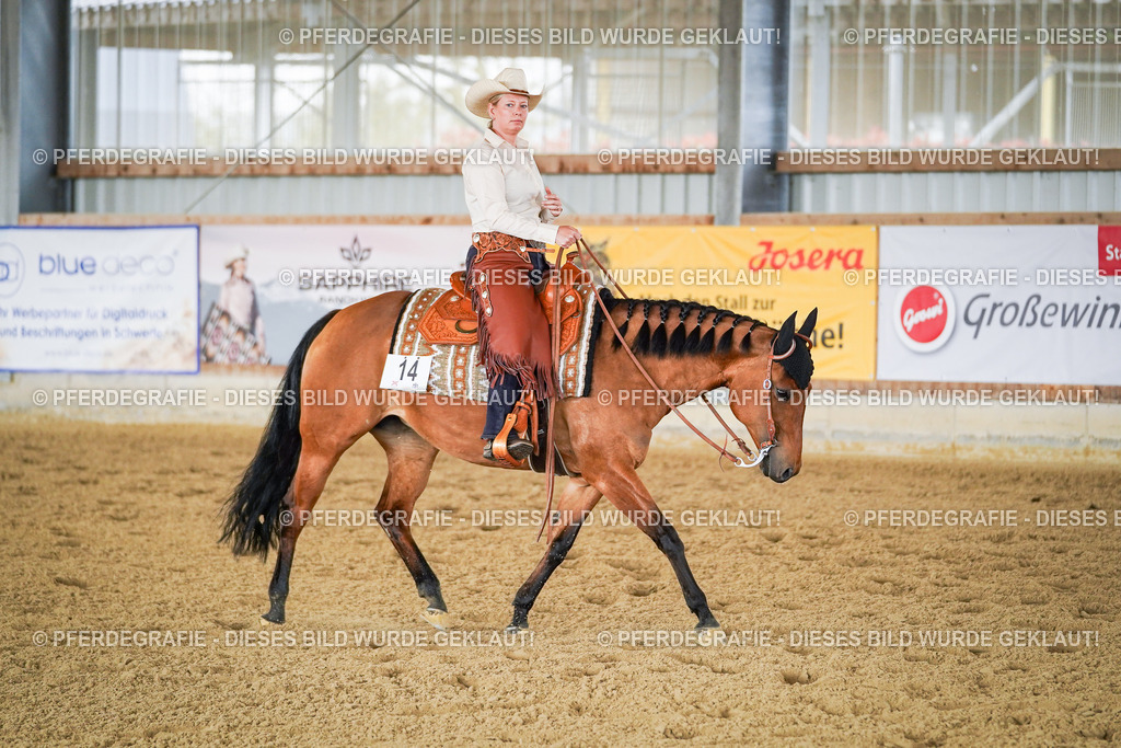 DSC03074 | Pferdegrafie