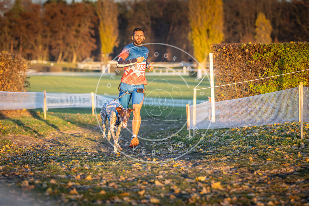 CaniXpix_DV3A5616 | Hundefotografie, Tierfotograf, Pfotenfotografie, Fotoshooting Hund, Hunde Portrait, Hundesport, Hundeportraits, Heideshooting, Hunde, Sportfotograf, Hundefotograf, Turnierhundsport, THS,  - Realisiert mit Pictrs.com