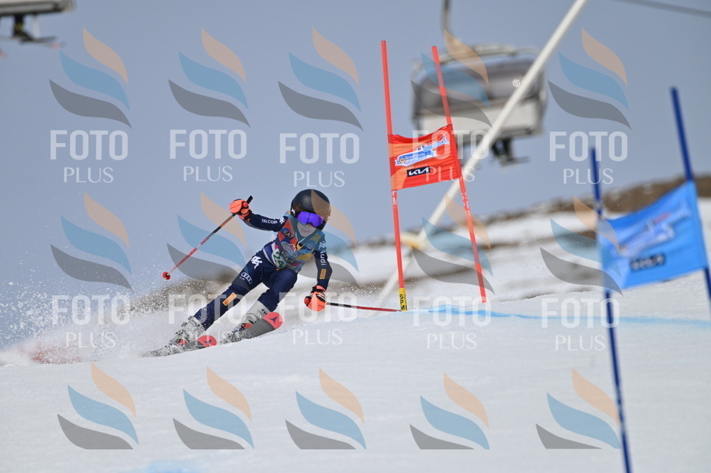 BGV_4886 | holidayphoto