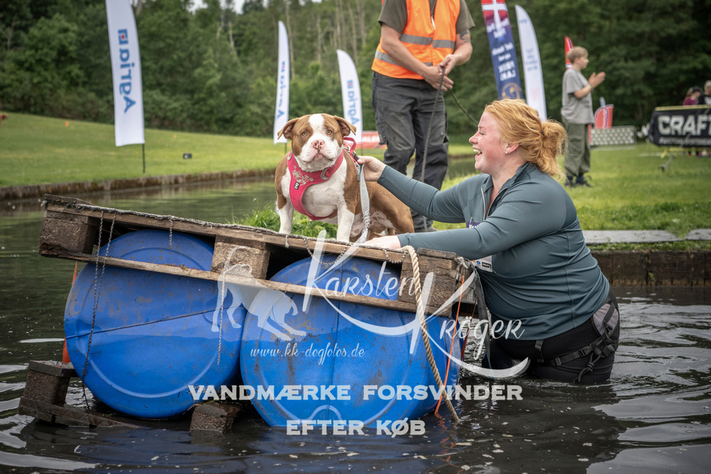 1005_ZZ94220 | kk-dogfotos