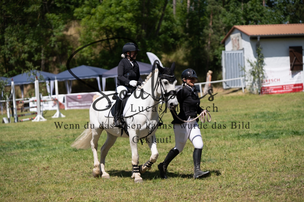 A7V06269 | Pferdefotograf