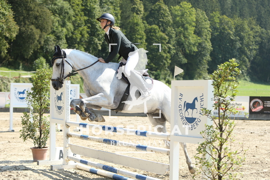 DL2Q2183 | Willkommen bei Brunnmayr - Design & Fotografie – Ihrem Spezialisten für Reitturniere und Pferdeveranstaltungen in Oberösterreich, Salzburg und Bayern! Seit über 17 Jahren sind wir leidenschaftlich dabei.