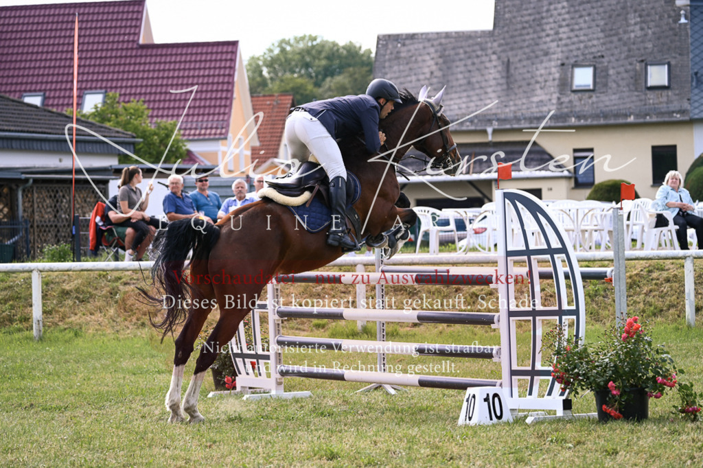 DSC_0789 | Pferde- und Turnierfotografie in Westsachsen. Pferdeportraits, Auftragszeichnungen und intuitive Kunst.