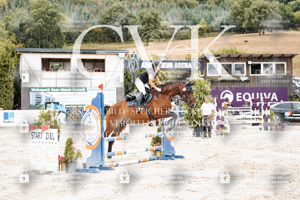 CK908294 | Turnierfotografie Pferdefotografie Trier Rheinland-Pfalz Pferdesport Reitsport Tierfotografie Sportfotografie Pferdevideo Pferdevideografie Equestrianvideography equestrianphotography  - Realisiert mit Pictrs.com