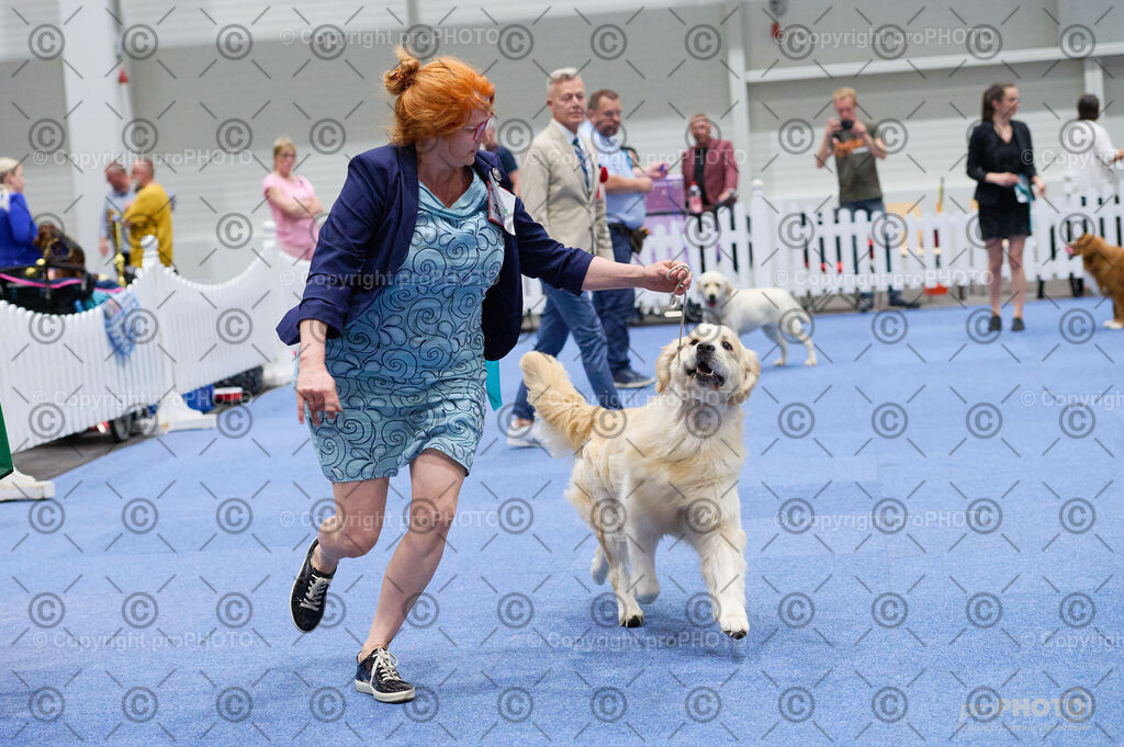 202406_ÖKV-IHA-Tulln24_DSC_3162 | proPHOTO - Realisiert mit Pictrs.com