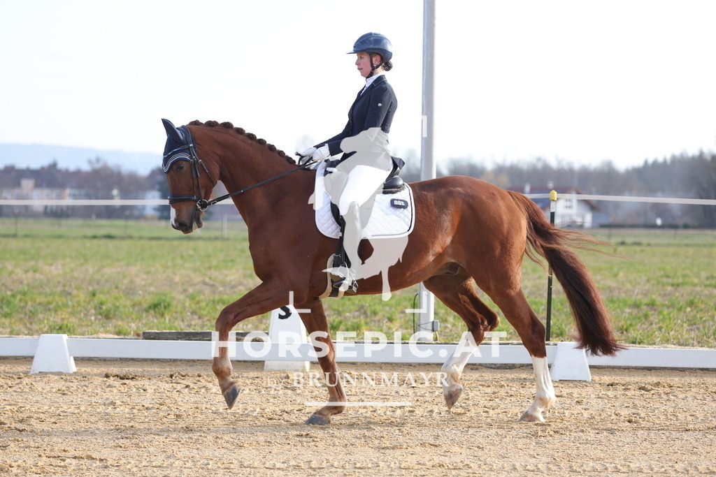 0P6A5945 | Willkommen bei Brunnmayr - Design & Fotografie – Ihrem Spezialisten für Reitturniere und Pferdeveranstaltungen in Oberösterreich, Salzburg und Bayern! Seit über 17 Jahren sind wir leidenschaftlich dabei.