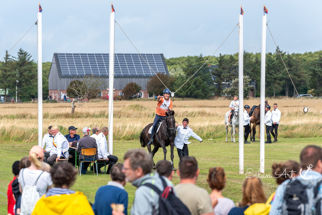 EAF_7543 | Eilun-Art-Fotografie Levke Martens, ihre Fotografin für Immobilien- und Landschaftsfotografie auf Föhr, Föhrer Motive als Poster, Leinwand, hinter Acrylglas oder stelle dir deinen eigenen Monatskalender zusammen, mit nur einem Klick