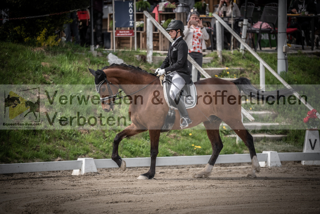 DSC_2187 | equestrian-live-com