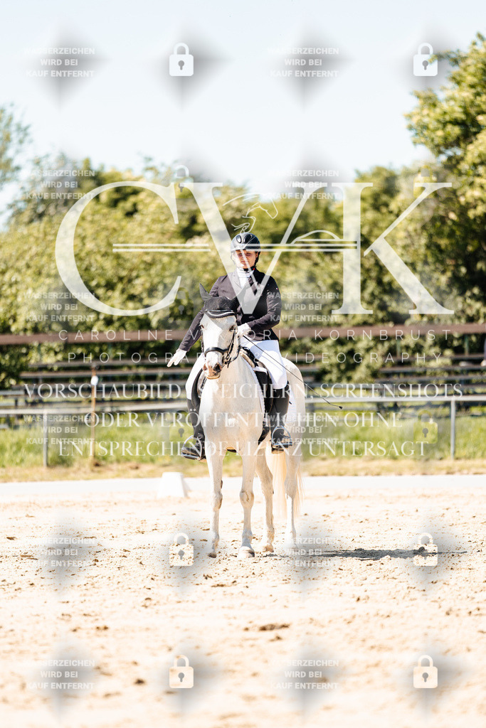 CK905587 | Turnierfotografie Pferdefotografie Trier Rheinland-Pfalz Pferdesport Reitsport Tierfotografie Sportfotografie Pferdevideo Pferdevideografie Equestrianvideography equestrianphotography  - Realisiert mit Pictrs.com