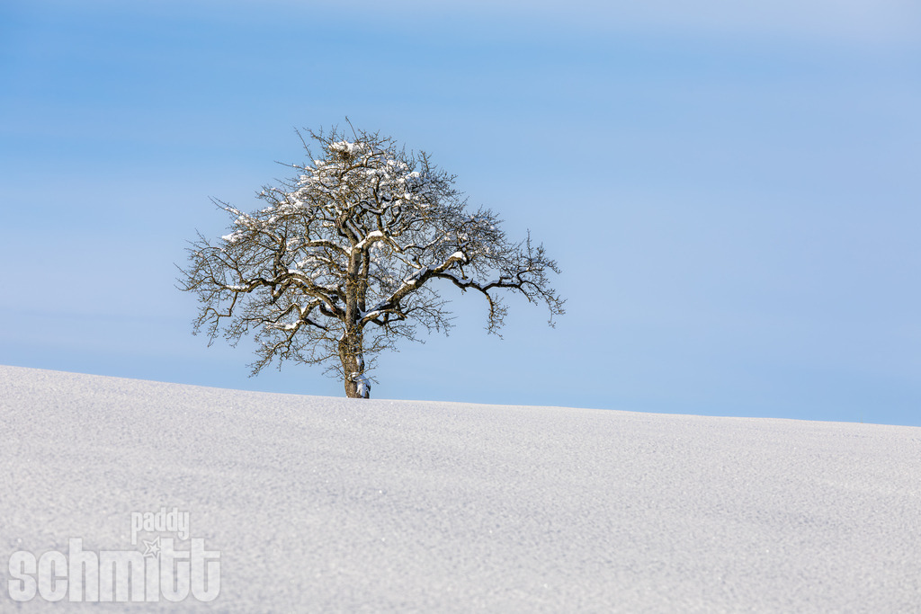 PS-Winter-2026-79 | Entdecke die größte Bildgalerie der Region mit Fotografien aus dem Allgäu, der Bodenseeregion, Oberschwaben, dem Donautal und der Schwäbischen Alb. Landschaften, Luftaufnahmen und Reisefotografie als Wandbild und Fotokunst. - Realisiert mit Pictrs.com