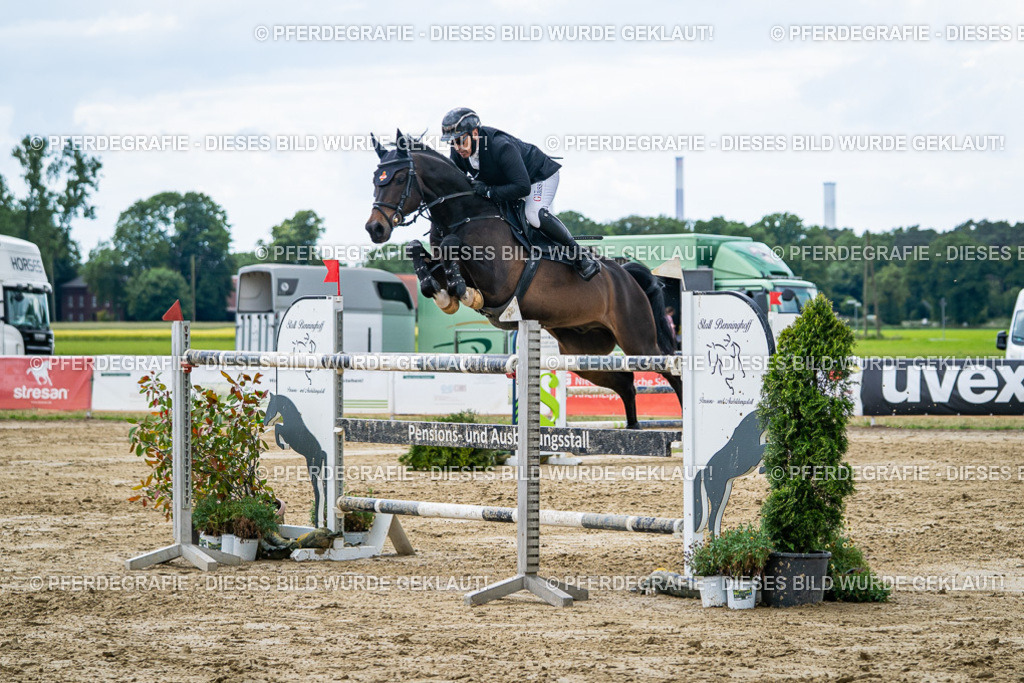 DSC06247 | Pferdegrafie