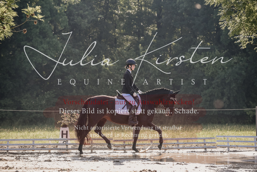 DSC_7861 | Pferde- und Turnierfotografie in Westsachsen. Pferdeportraits, Auftragszeichnungen und intuitive Kunst.