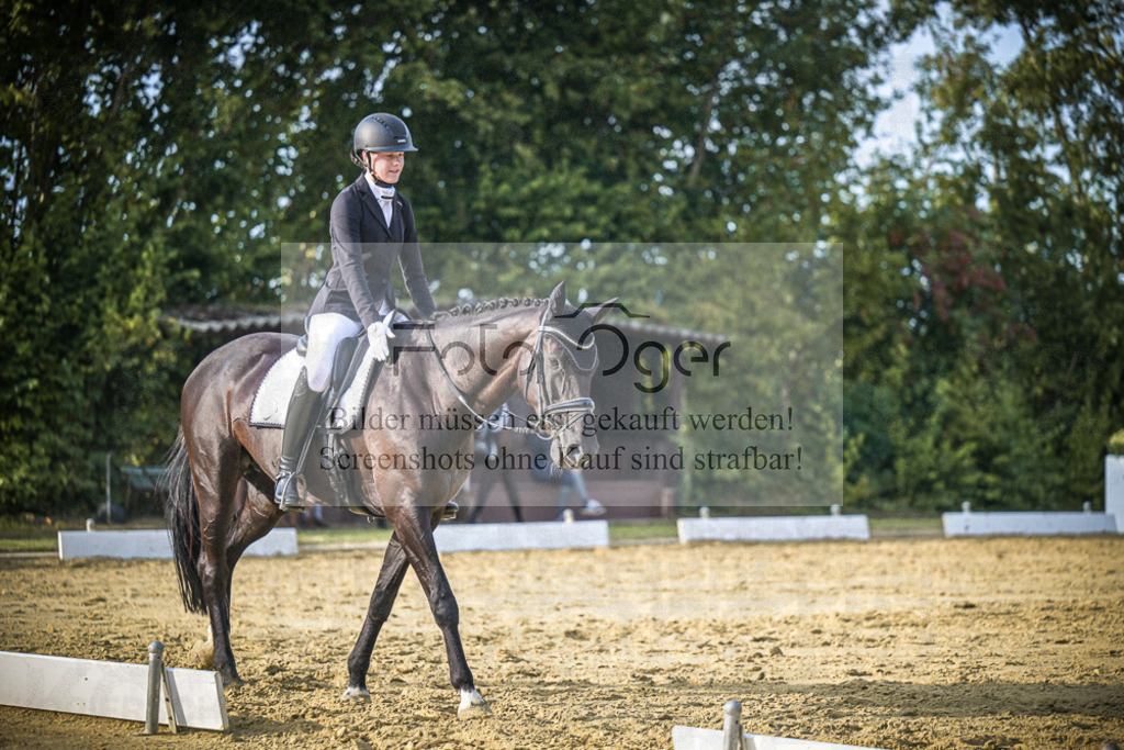 DOS_0952 | Entdecke hochwertige Reitturnierfotos von Foto Oger. Professionell, emotional und authentisch – jetzt Lieblingsmomente im Shop bestellen.Deutschlandweite Turnierfotografie. - Realisiert mit Pictrs.com
