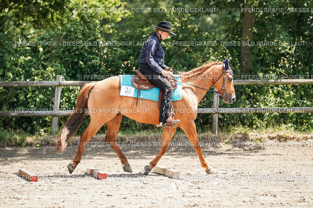 DSC06837 | Pferdegrafie