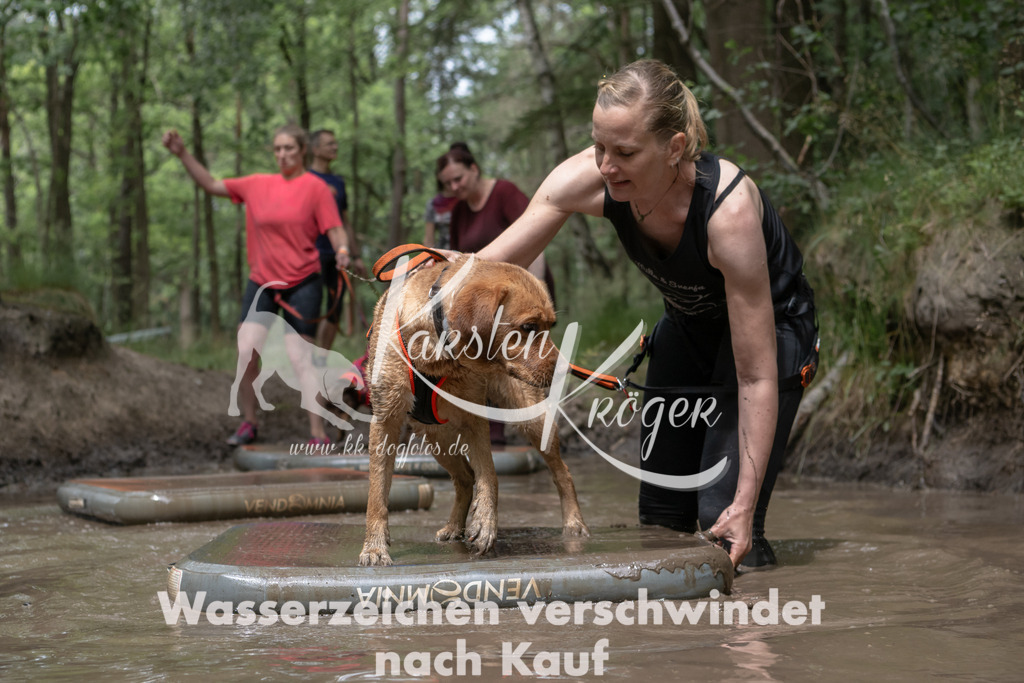 1333_ZZ94611 | kk-dogfotos
