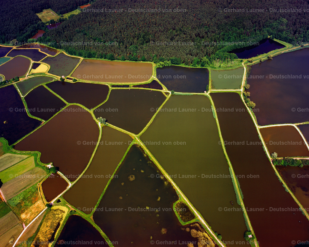 9300105 | Fischteiche im Aischgrund bei Röhrbach