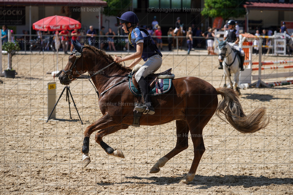 20240824-FAH08081 | Thierhaupten 2024, Bayerisches Landesponyturnier, Turnierbilder, Ponybilder, Turnierfotografen Bayern, Fotoagentur Herrmann