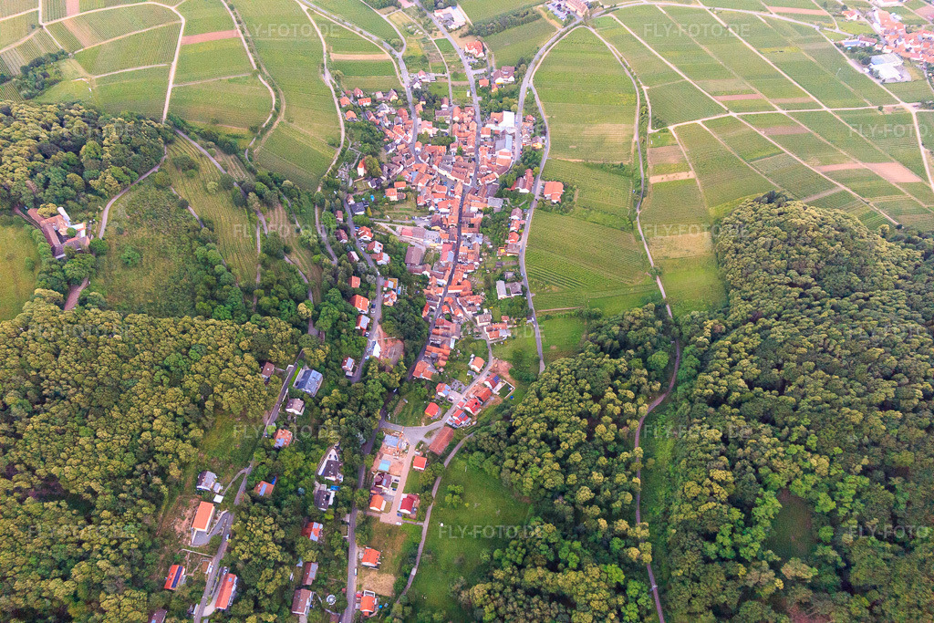 Luftbild: Dorfansicht aus Westen in Leinsweiler im Bundesland Rheinland-Pfalz in Deutschland. Foto: IMG_115571.jpg vom 21.06.2019 durch Werner Riehm/FLY-FOTO.de