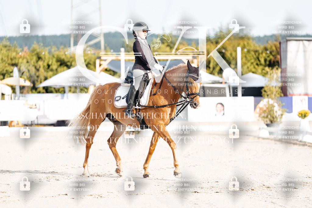 CK903627 | Turnierfotografie Pferdefotografie Trier Rheinland-Pfalz Pferdesport Reitsport Tierfotografie Sportfotografie Pferdevideo Pferdevideografie Equestrianvideography equestrianphotography  - Realisiert mit Pictrs.com