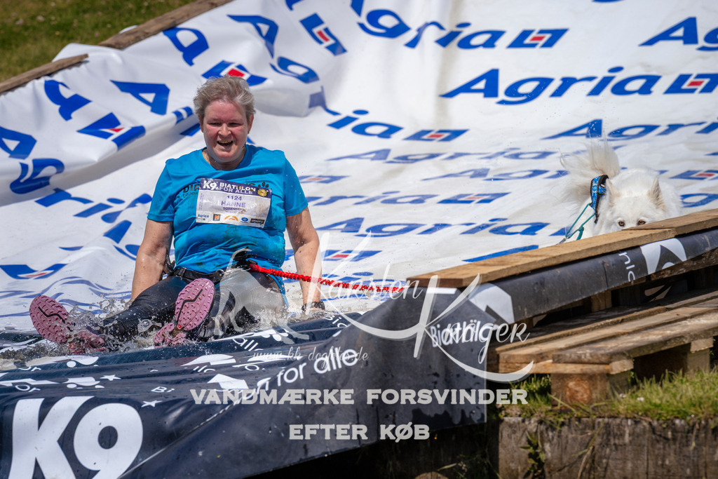 _ZZ989371048 | kk-dogfotos