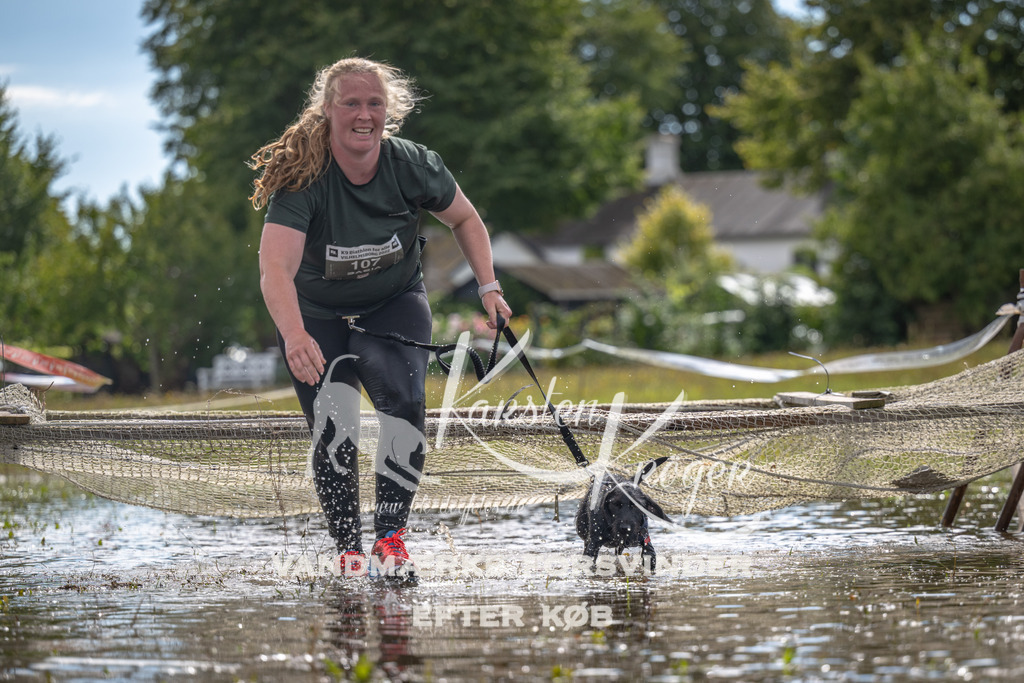 1336_ZZ90372 | kk-dogfotos