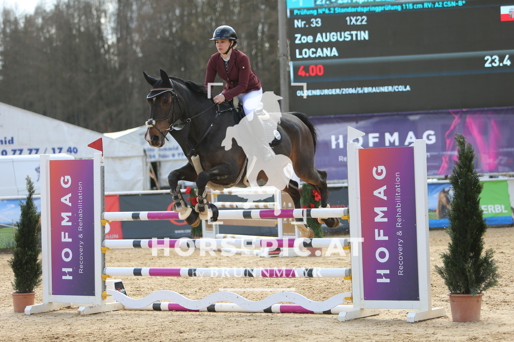 DL2Q8890 | Willkommen bei Brunnmayr - Design & Fotografie – Ihrem Spezialisten für Reitturniere und Pferdeveranstaltungen in Oberösterreich, Salzburg und Bayern! Seit über 17 Jahren sind wir leidenschaftlich dabei.