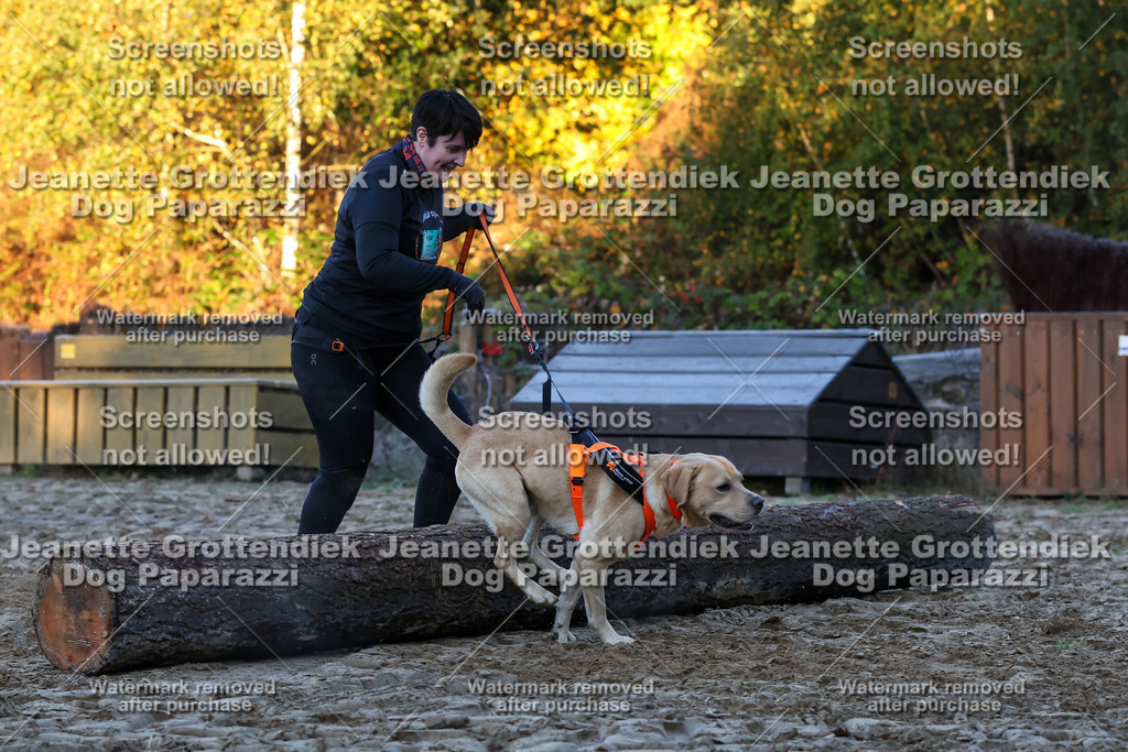 Dog Paparazzi - Strongdog 10-25-447 | Dog Paparazzi Jeanette Grottendiek Fotografie & Videografie - Realisiert mit Pictrs.com