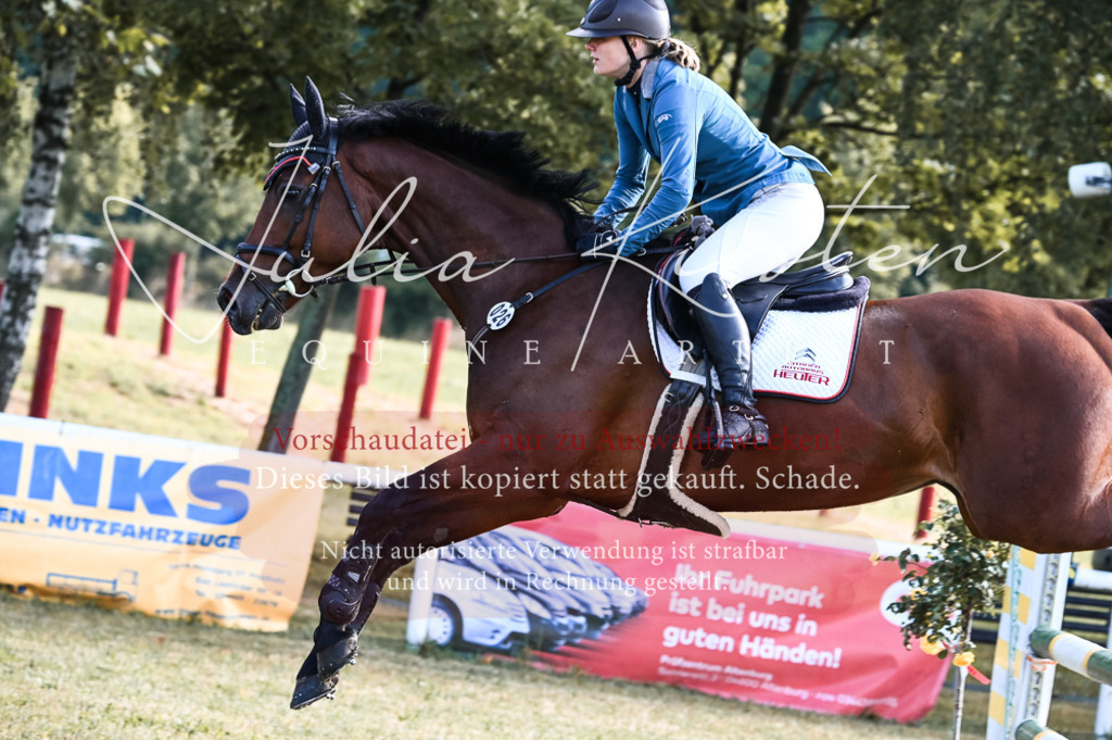 DSC_7565 | Pferde- und Turnierfotografie in Westsachsen. Pferdeportraits, Auftragszeichnungen und intuitive Kunst.