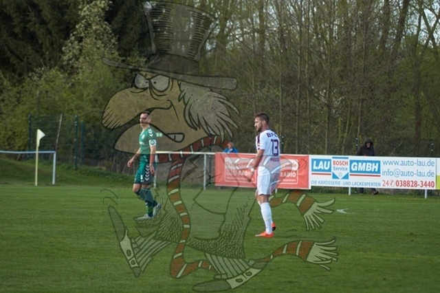 FC Schönberg 95 vs. BFC Dynamo 119 | mythos-online-redaktion