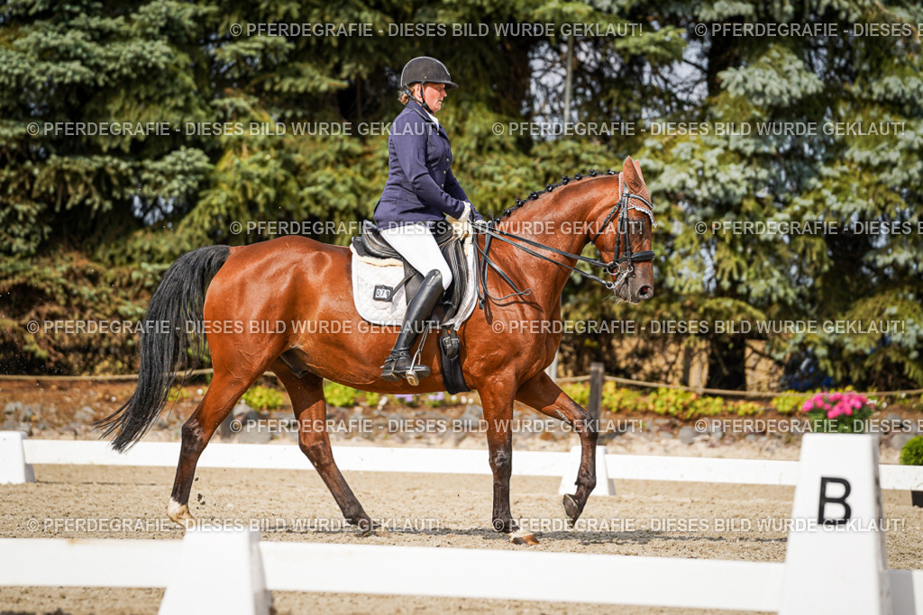 DSC07281 | Pferdegrafie