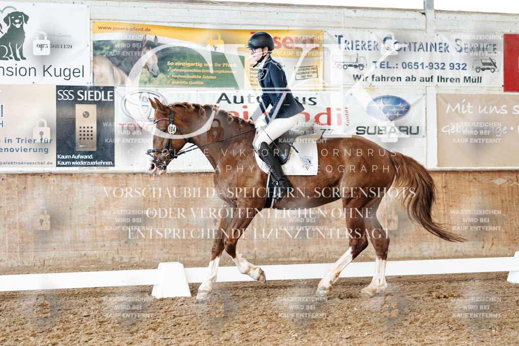 CK900075 | Turnierfotografie Pferdefotografie Trier Rheinland-Pfalz Pferdesport Reitsport Tierfotografie Sportfotografie Pferdevideo Pferdevideografie Equestrianvideography equestrianphotography  - Realisiert mit Pictrs.com