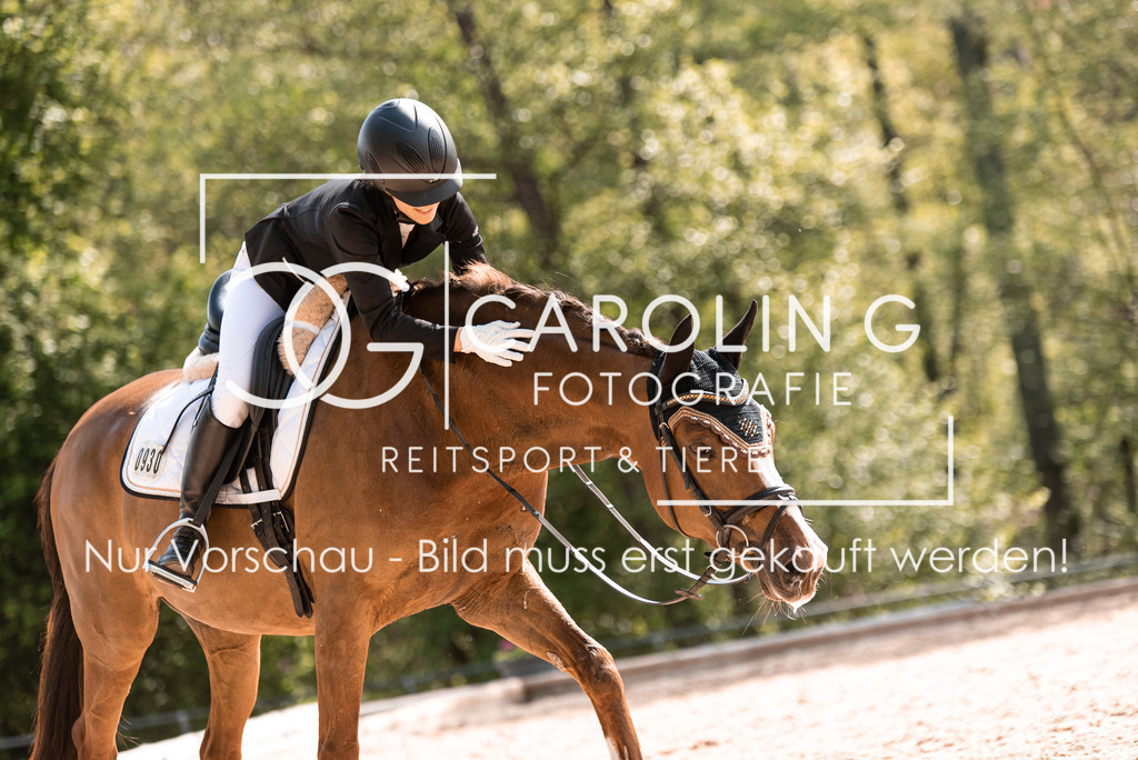 DSC_9964 | Turnierfotografin Carolin Gieschke, Turnierfotografie Carolin G Fotografie, Turnierfotos Kirchheim/Teck, Esslingen, Stuttgart, Bodenseekreis