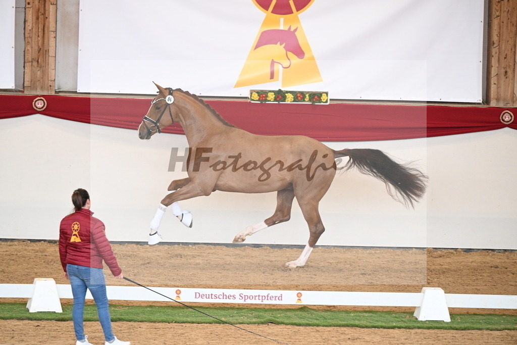 Kat.-Nr. 84 v. Vaderland_van den Oetelaar_2250810 | hf-fotografie - Realisiert mit Pictrs.com