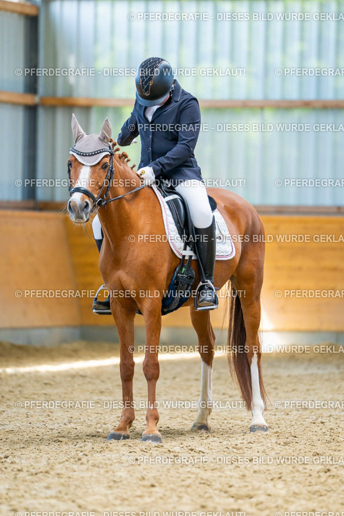 DSC08688 | Pferdegrafie